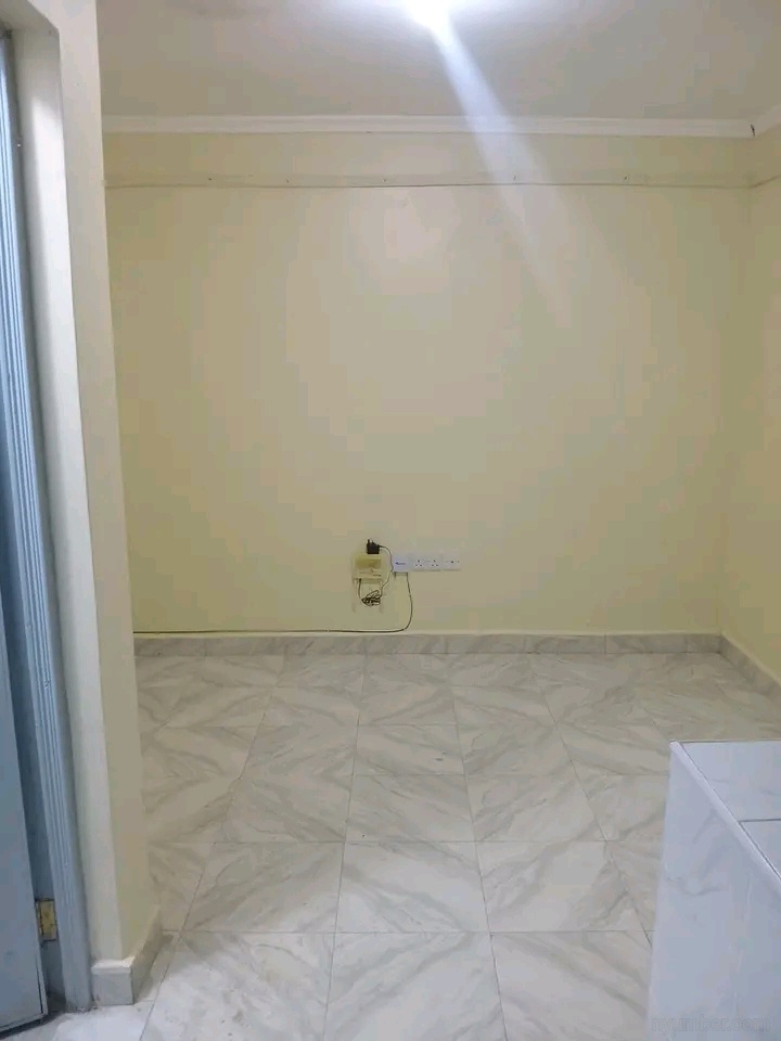 Spacious bedsitter  - Image 2