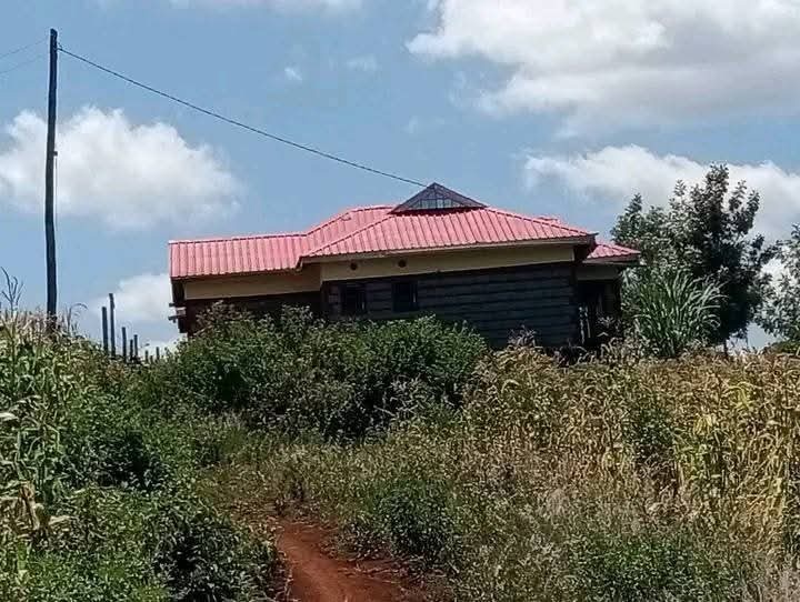 Nakuru two bedroom to rent  - Image 14