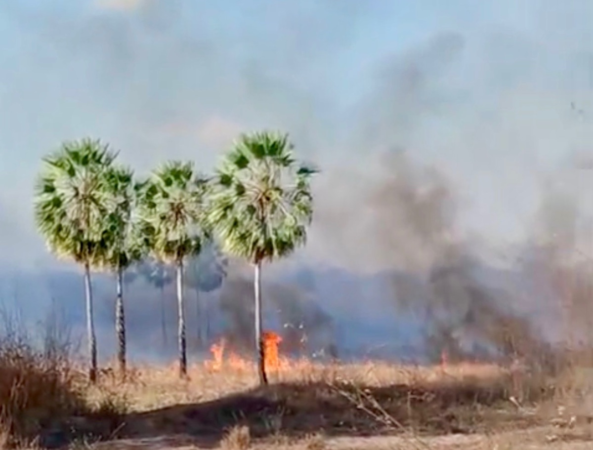 Fogo consome mais de mil hectares da Fazenda Lagoa do Tabuleiro e fumaça já é vista do centro de Oeiras