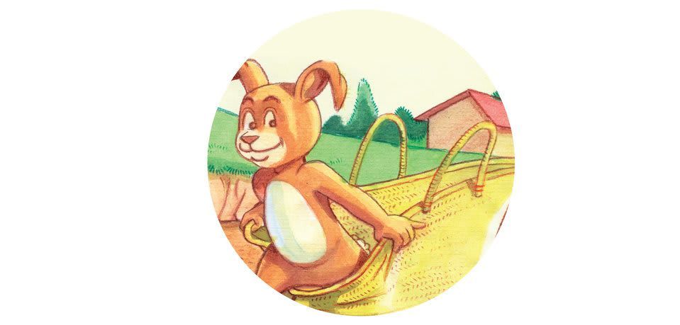 Image illustraton for the book:Clever Rabbit
