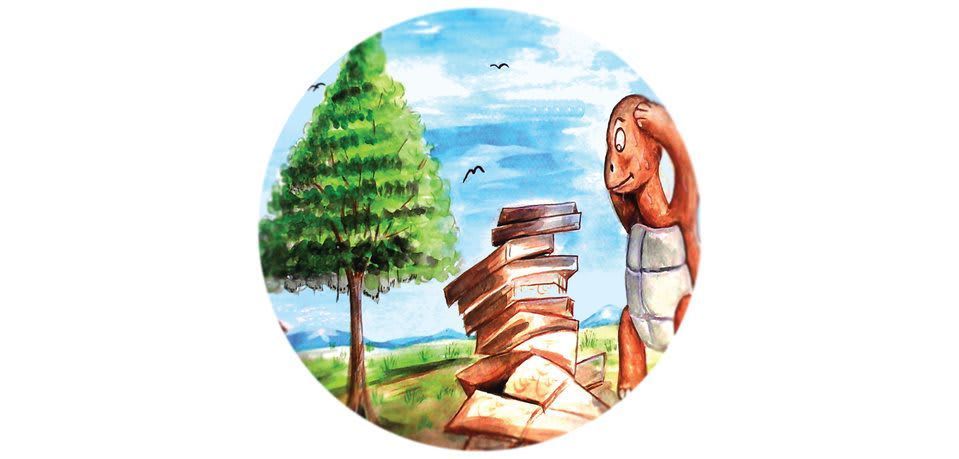Image illustraton for the book:How the Tortoise Built Her House