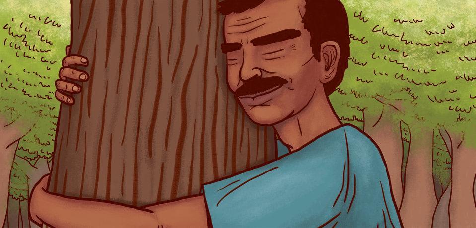 Image illustraton for the book:Jadav and the Tree-Place