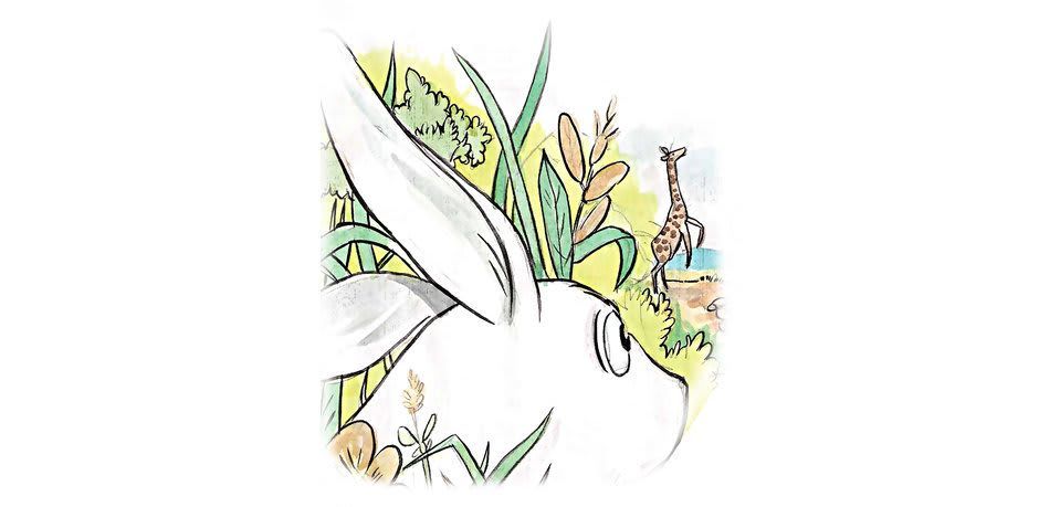 Image illustraton for the book:The Hare's Story