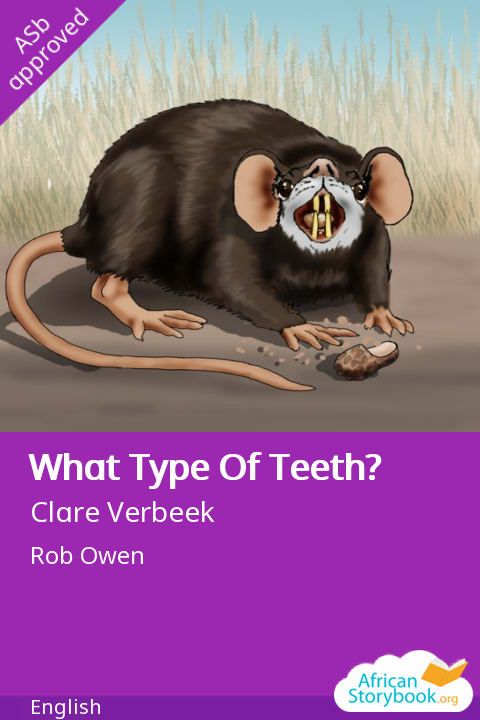 Image illustraton for the book:What Type Of Teeth?