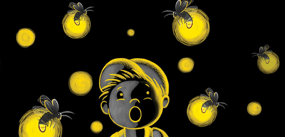 Image illustraton for the book:Why Can't We Glow Like Fireflies?