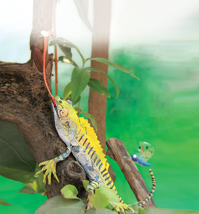 Image illustraton for the book:The Green Lizard and the Gecko