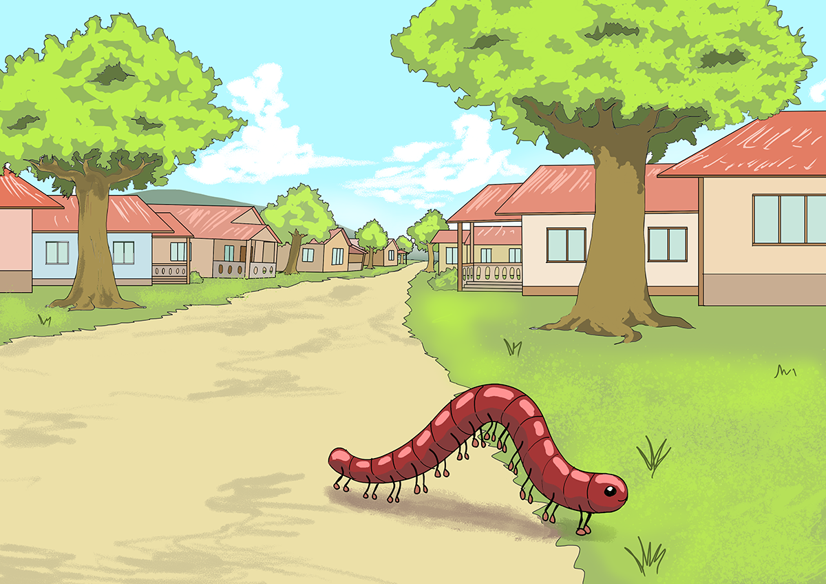 Image illustraton for the book:Naughty Millipede