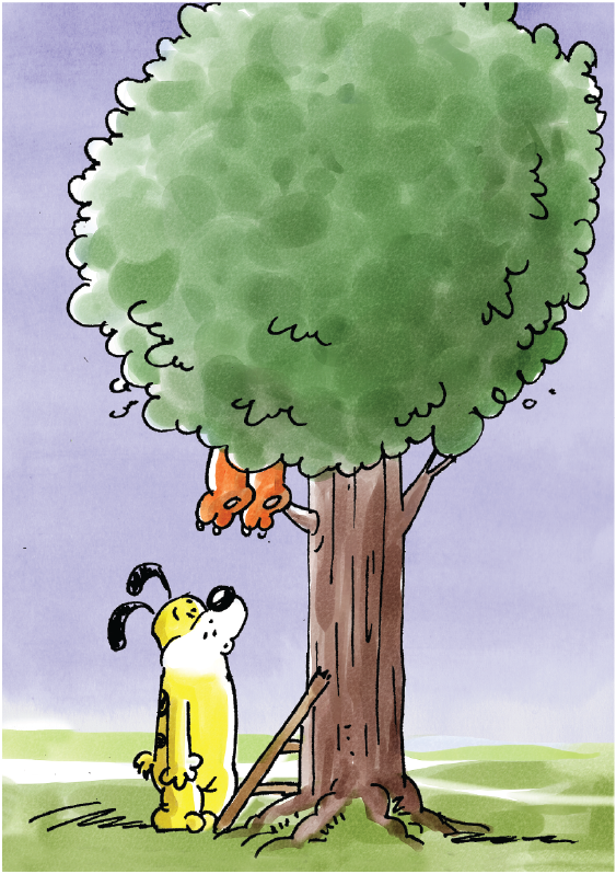 Image illustraton for the book:Cat &amp; Dog: Where Is Cat
