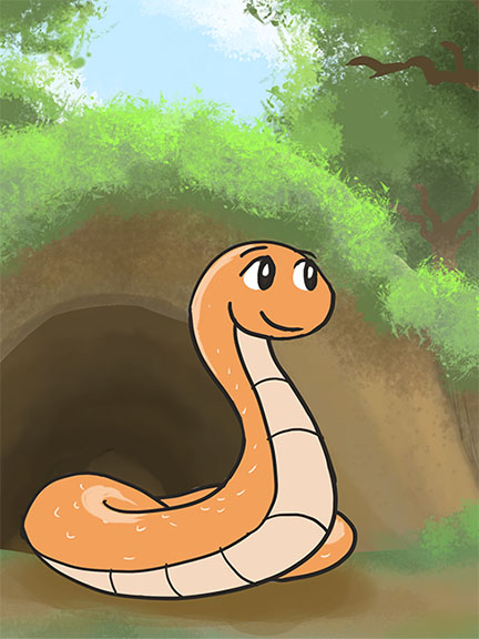 Image illustraton for the book:The Observant Little Snake