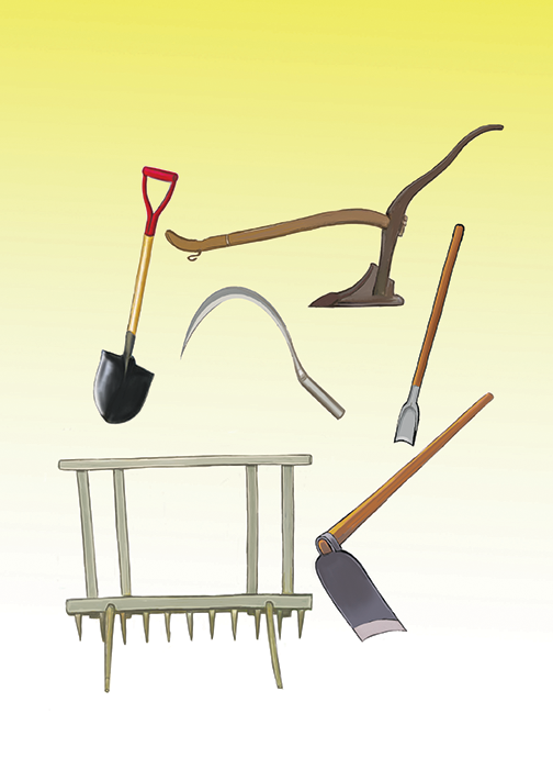 Image illustraton for the book:Tools for Rice Farming
