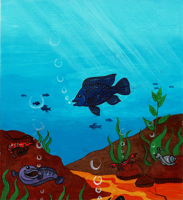 Image illustraton for the book:Beautiful Water Animals
