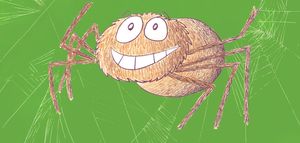 Image illustraton for the book:Spider, Spider