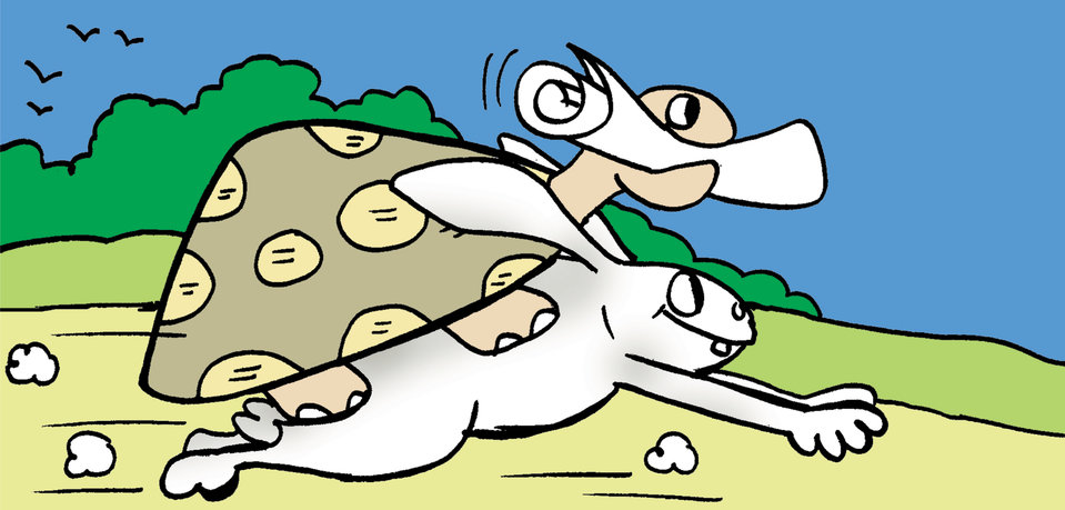 Image illustraton for the book:The Hare &amp; the Tortoise (Again!)