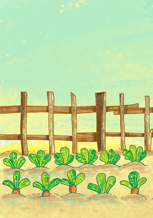 Image illustraton for the book:Why Don't They Sprout?