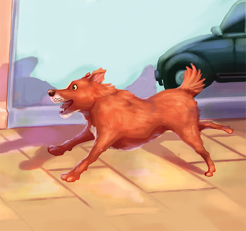 Image illustraton for the book:Racing to Win