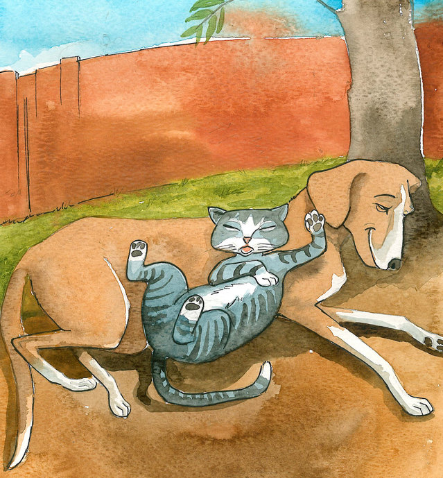 Image illustraton for the book:Dogs versus Cats