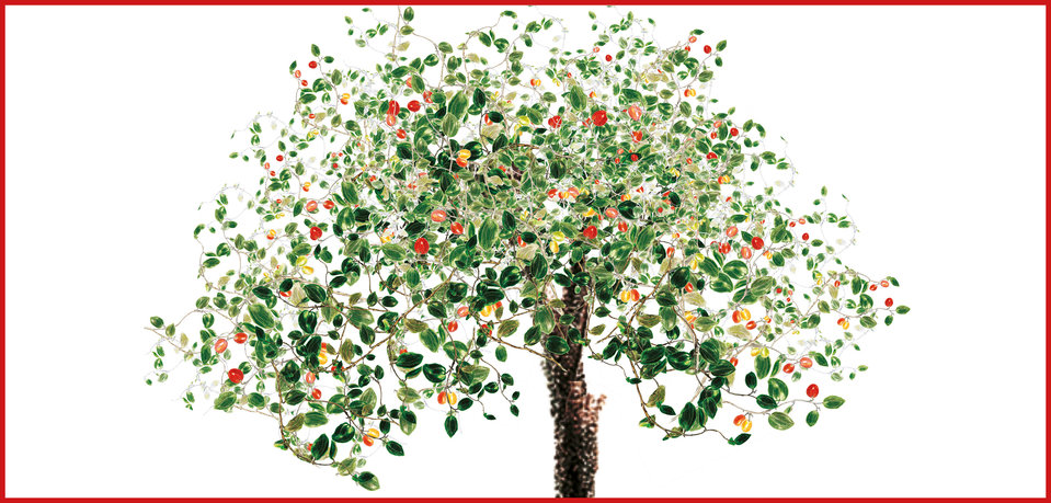 Image illustraton for the book:A Walk Among Trees