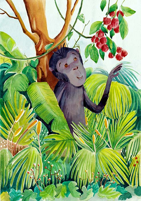 Image illustraton for the book:Rambutans for Yaki