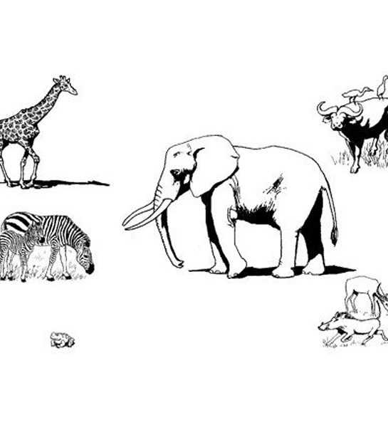 Image illustraton for the book:Who is the Bravest?