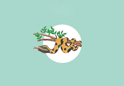 Image illustraton for the book:How did the Rat Snake Lose its Poison?
