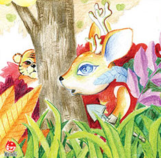 Image illustraton for the book:Why Do Deer Have Antlers?