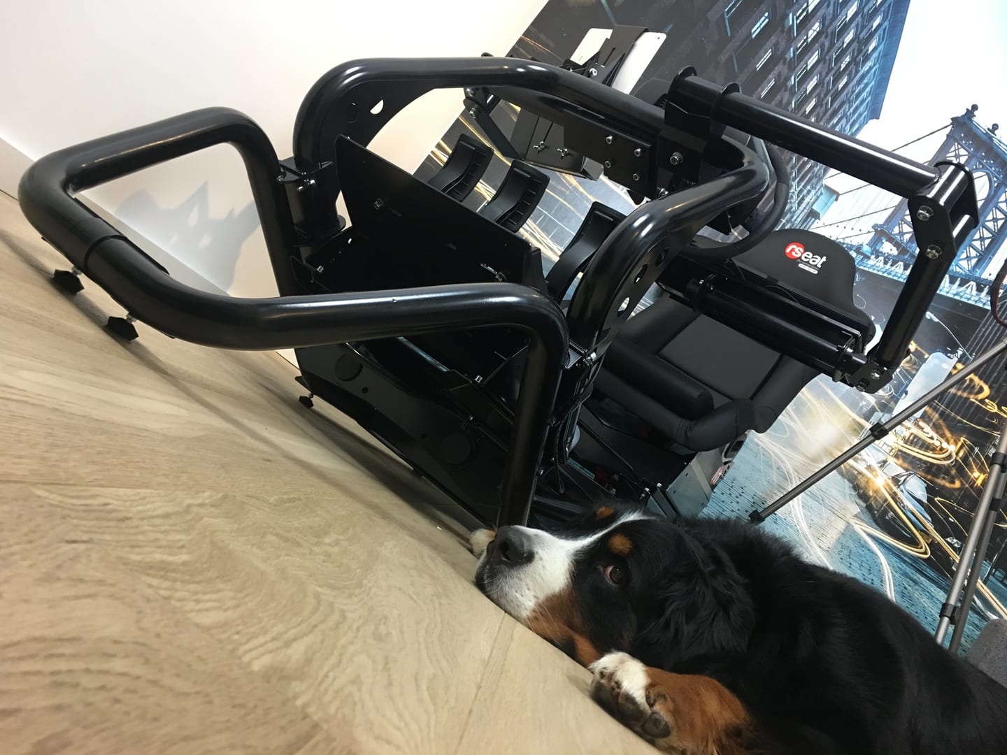 Chassis REAT N1 RS1 Playseat (8)