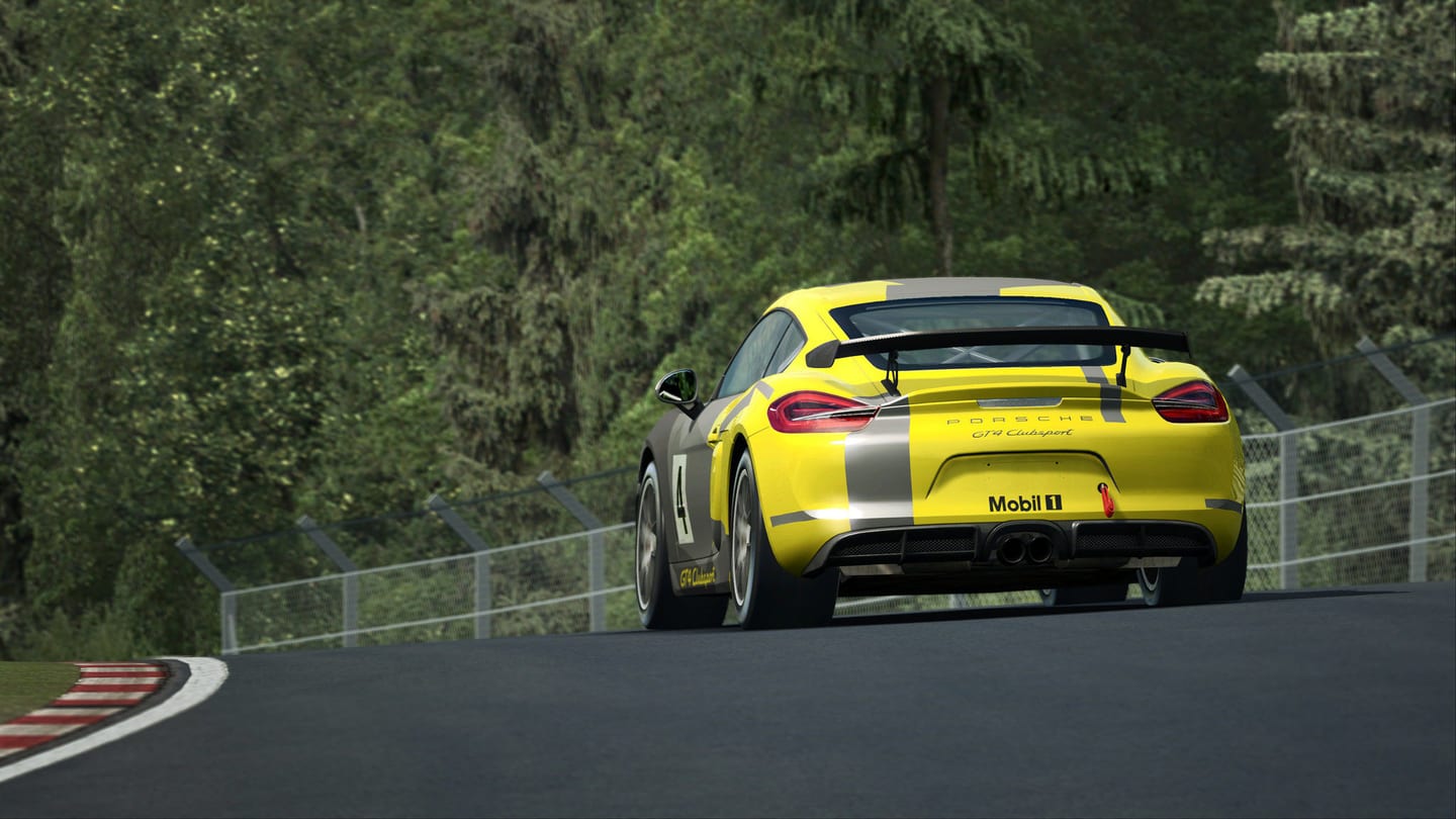 Porsche Cayman GT4 RaceRoom (12)