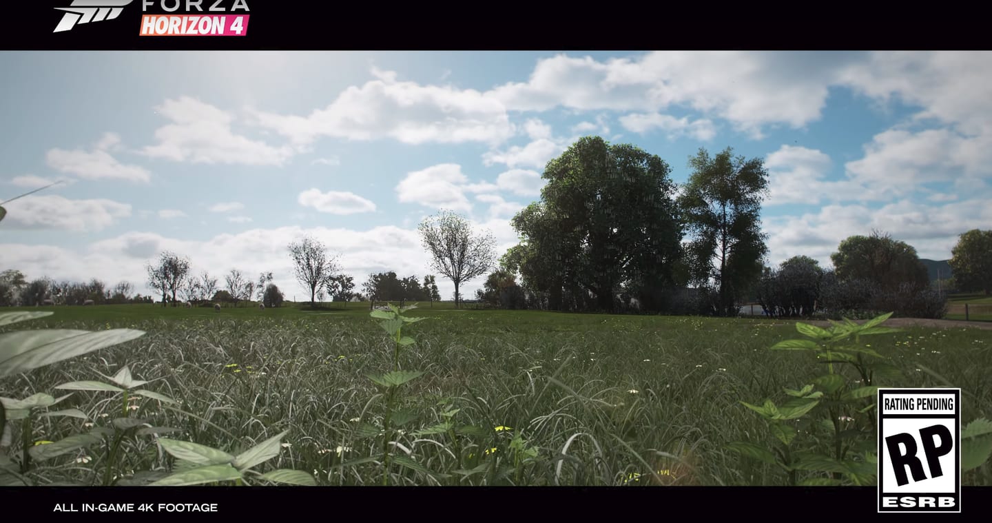 ForzaHorizon4 (1)