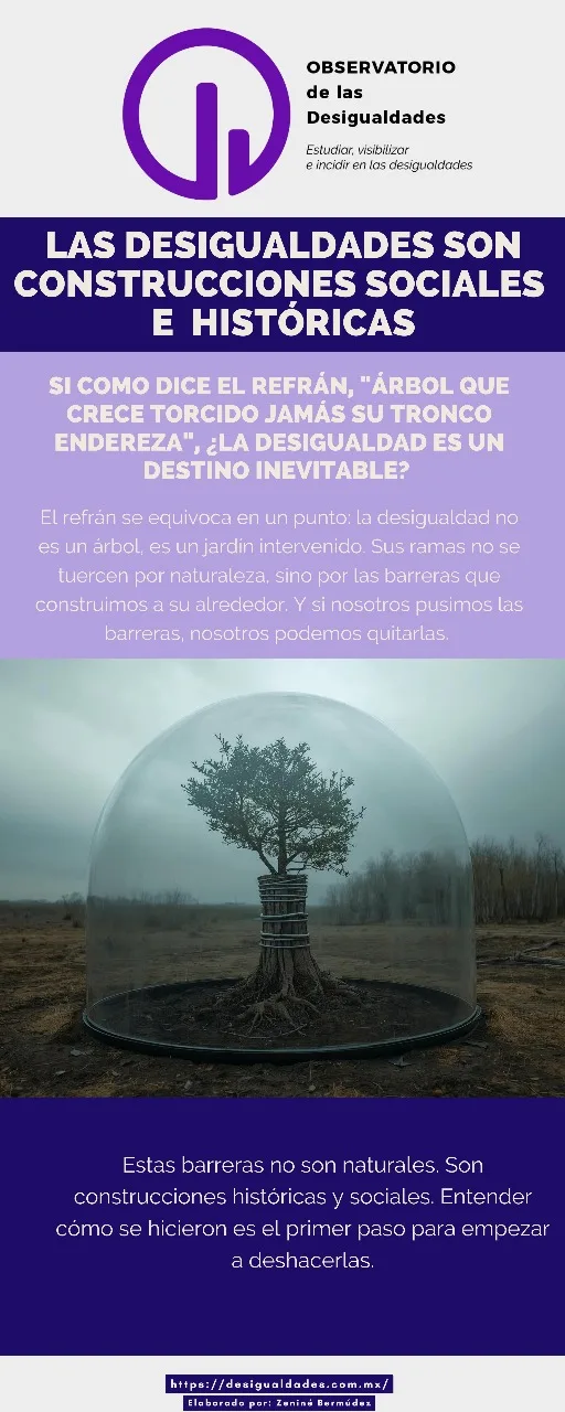 Las Desigualdades son construcciones sociales e históricas