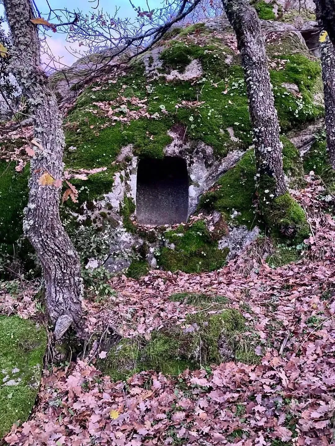 An image featuring a moss-covered rock formation with an opening, framed by trees and a ground covered in fallen leaves.