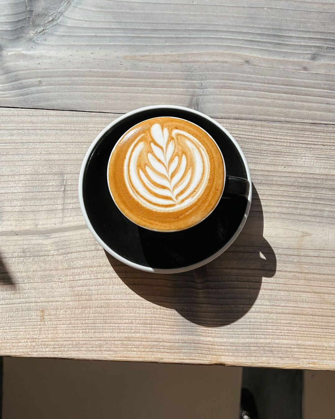 This image is a close-up of a latte art, showcasing a well-executed leaf design. The composition is simple and effective, focusing solely on the beverage. The lighting is excellent, highlighting the intricate details of the foam art and the warm tones of the coffee. The image is sharp and captures the texture of the foam and the cup's surface. The colors are accurate and natural, reflecting the real-life appearance of the drink. The key element, the latte art, is perfectly in focus. The image is visually appealing and showcases the beverage in a professional manner. Overall, this image is a great example of a well-composed and professionally taken close-up food image.