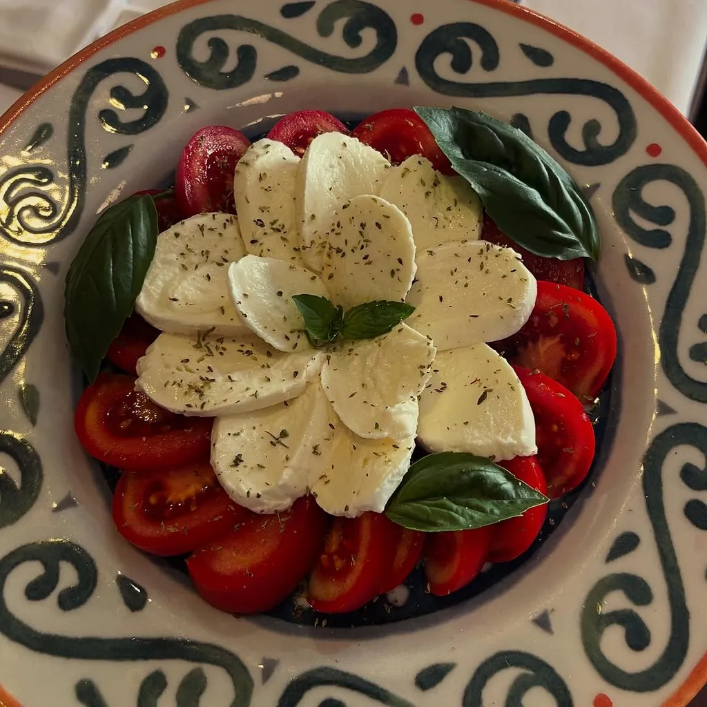 A close-up shot of a Caprese salad presented on a decorative plate, featuring slices of mozzarella, red tomatoes, and fresh basil leaves, topped with dried herbs.