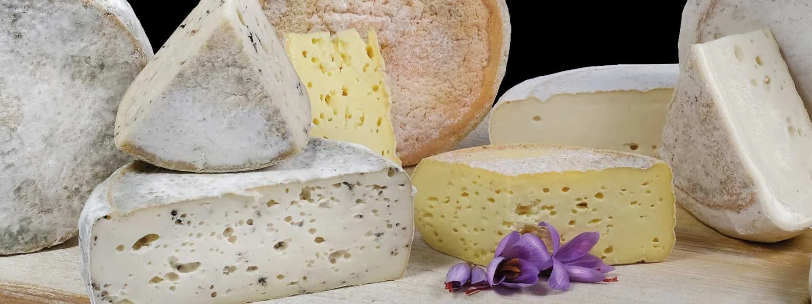 An editorial-style image featuring an assortment of cheeses, showcasing various textures and colors, with saffron flowers as an accent.