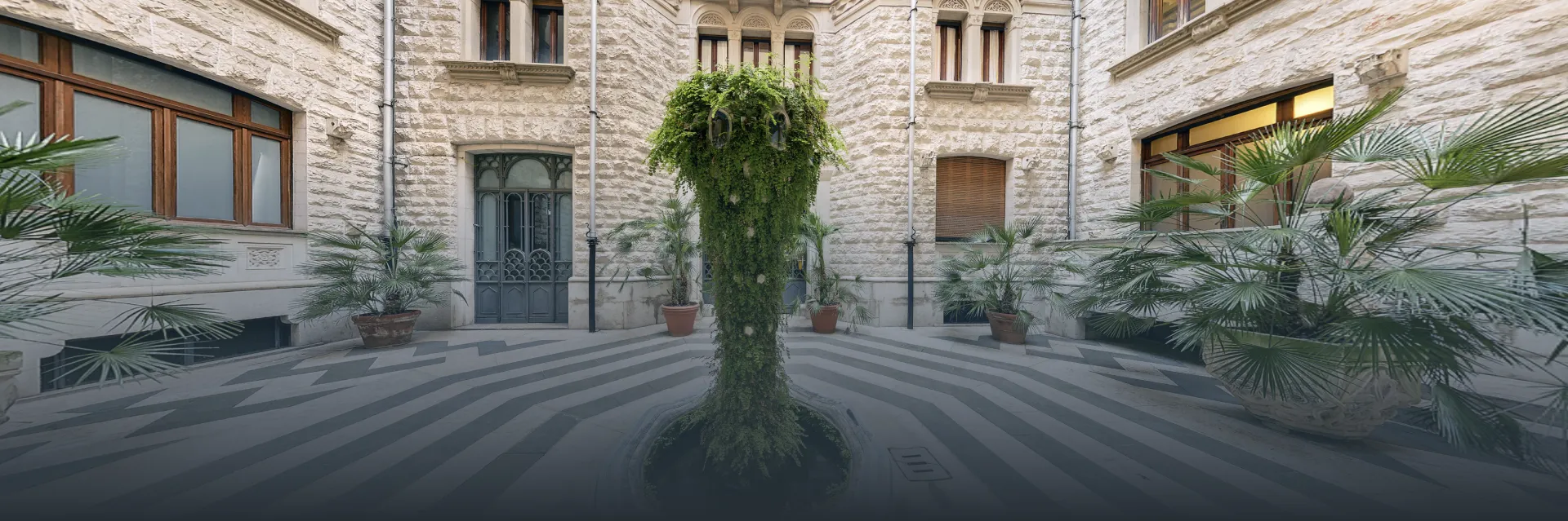 An image featuring a unique, tall plant structure covered in green foliage and small white flowers, situated in an urban courtyard. The plant stands prominently against a backdrop of light-colored stone buildings with multiple windows. The ground features a distinctive patterned pavement of dark and light stripes. Potted palm plants are visible on either side of the central plant feature.