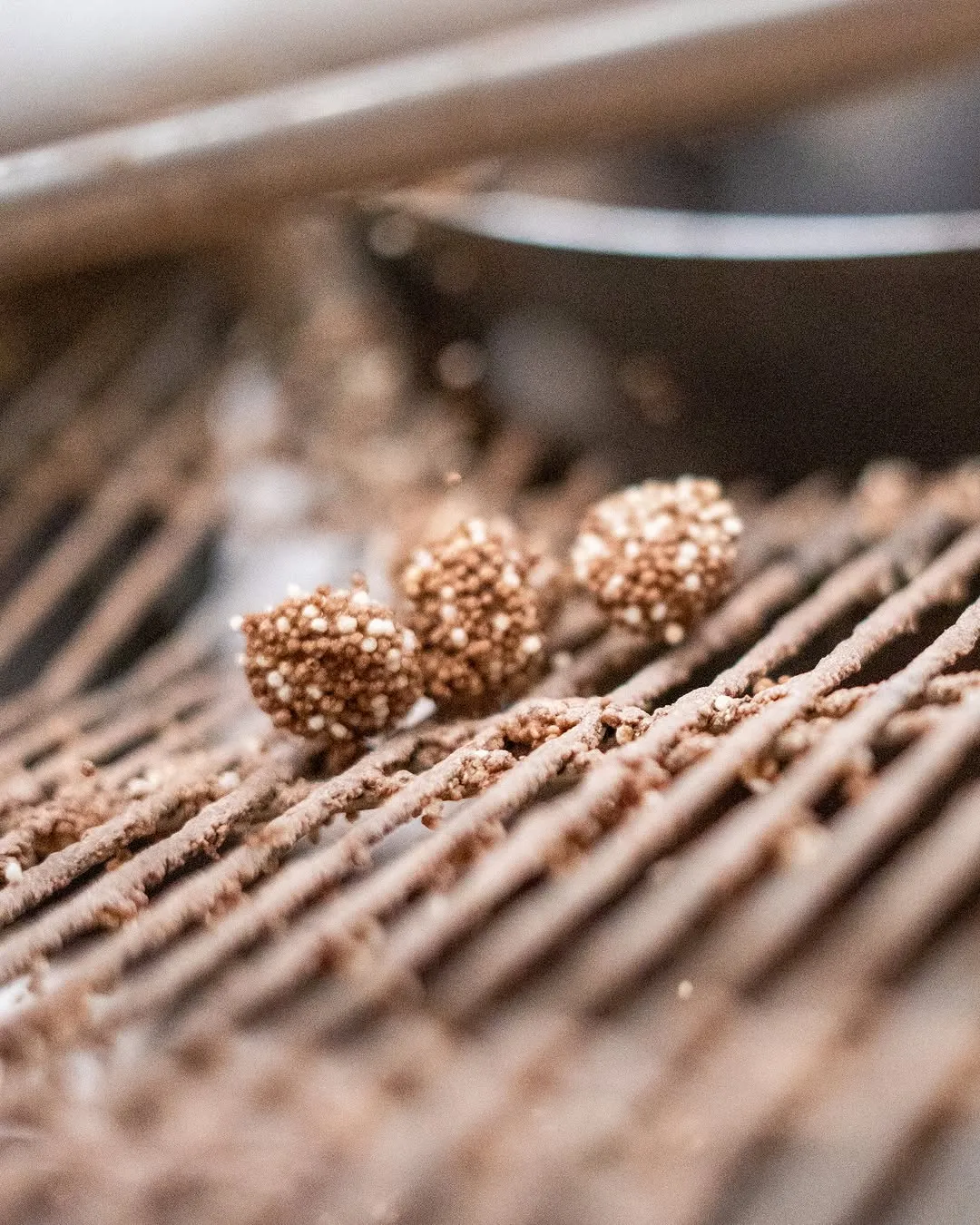A close-up shot of three small, round chocolate-like confections, possibly coated in puffed rice or quinoa, resting on a textured, grate-like surface, likely part of a food production line.