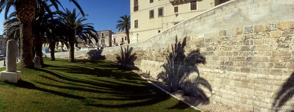 An outdoor scene featuring a stone wall, green grass, and a building under bright sunlight, with prominent shadows from palm trees cast across the wall and ground.