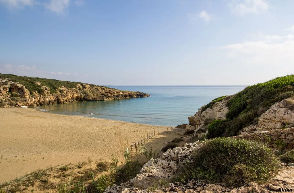 This image is a well-composed and photo-realistic depiction of a tranquil beach bay. It features excellent natural lighting, resulting in even illumination without harsh shadows or overexposure. The image is sharp throughout, with all key elements from foreground rocks to distant water in clear focus. Colors are natural and accurate, enhancing the serene beauty of the coastal scene.