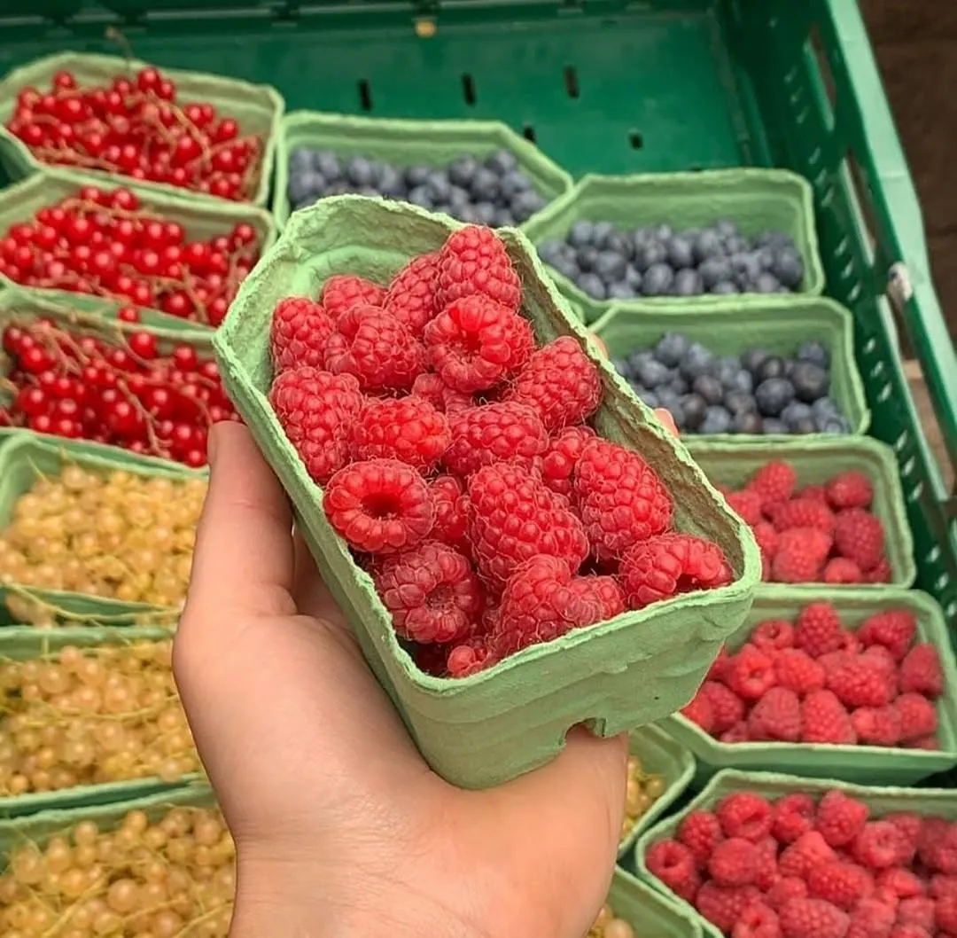 A close-up shot of a hand holding a green cardboard container filled with fresh red raspberries. In the background, out of focus, are more containers with various berries, including red currants, white currants, and blueberries, creating a vibrant market or produce stall scene.