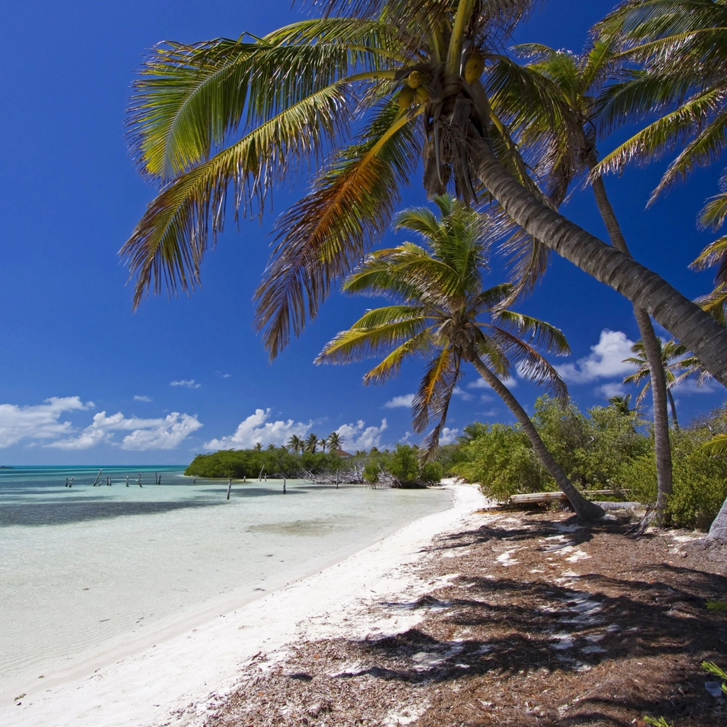 Isla Contoy - 1