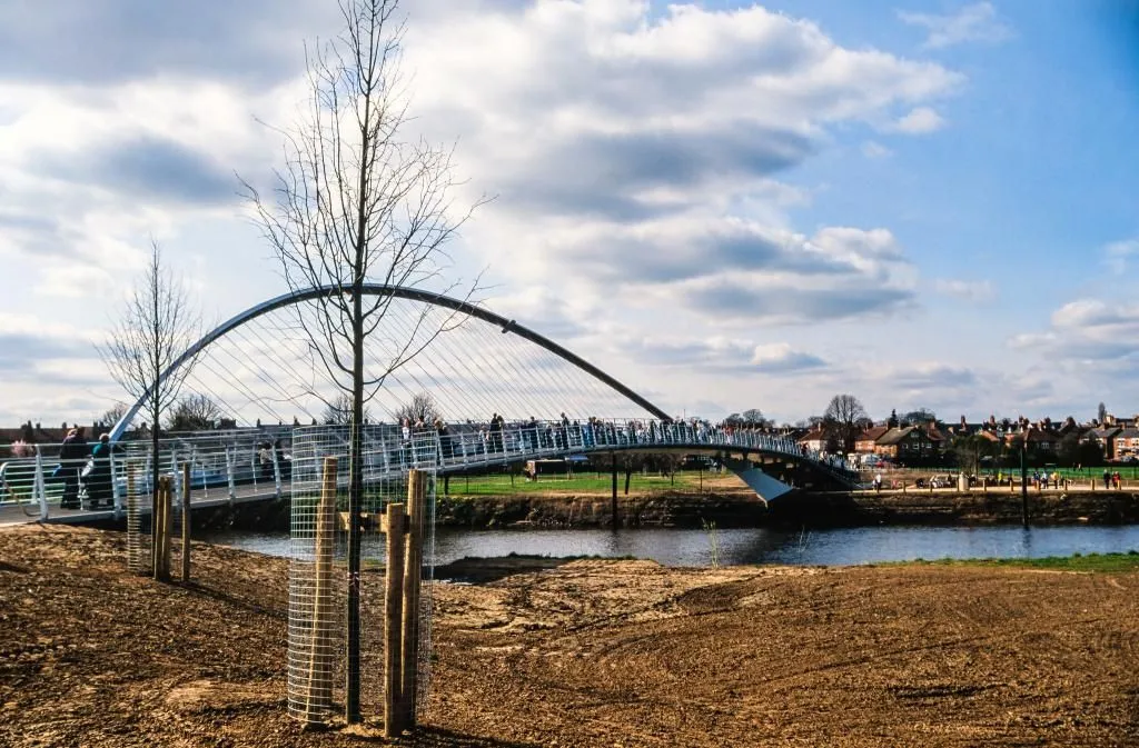 An editorial-style image featuring a modern pedestrian bridge over a river, with a bare young tree in the foreground. The sky is partially cloudy, and there are people walking on the bridge. The foreground consists of disturbed earth, contrasting with the green grass beyond the river.