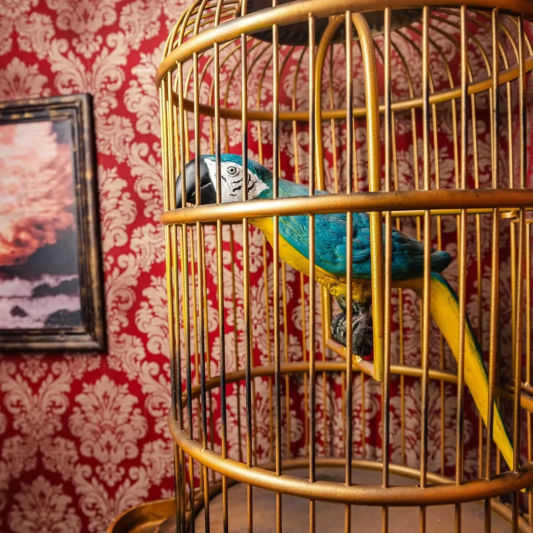 A vibrant image featuring a blue and yellow parrot statue inside a golden birdcage, set against a rich red patterned wallpaper background. A framed picture is partially visible on the left side.
