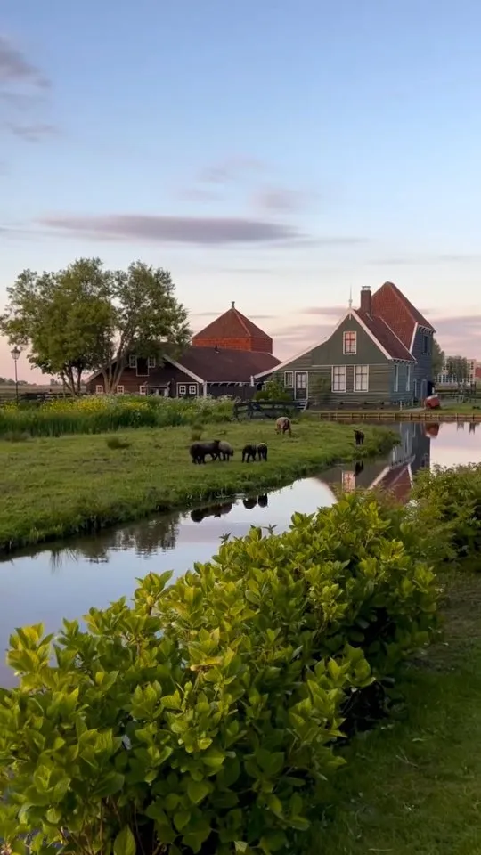A picturesque rural scene featuring traditional houses, a tranquil canal, and sheep grazing in a green pasture under a soft, clear sky. The image captures a serene and idyllic countryside setting.