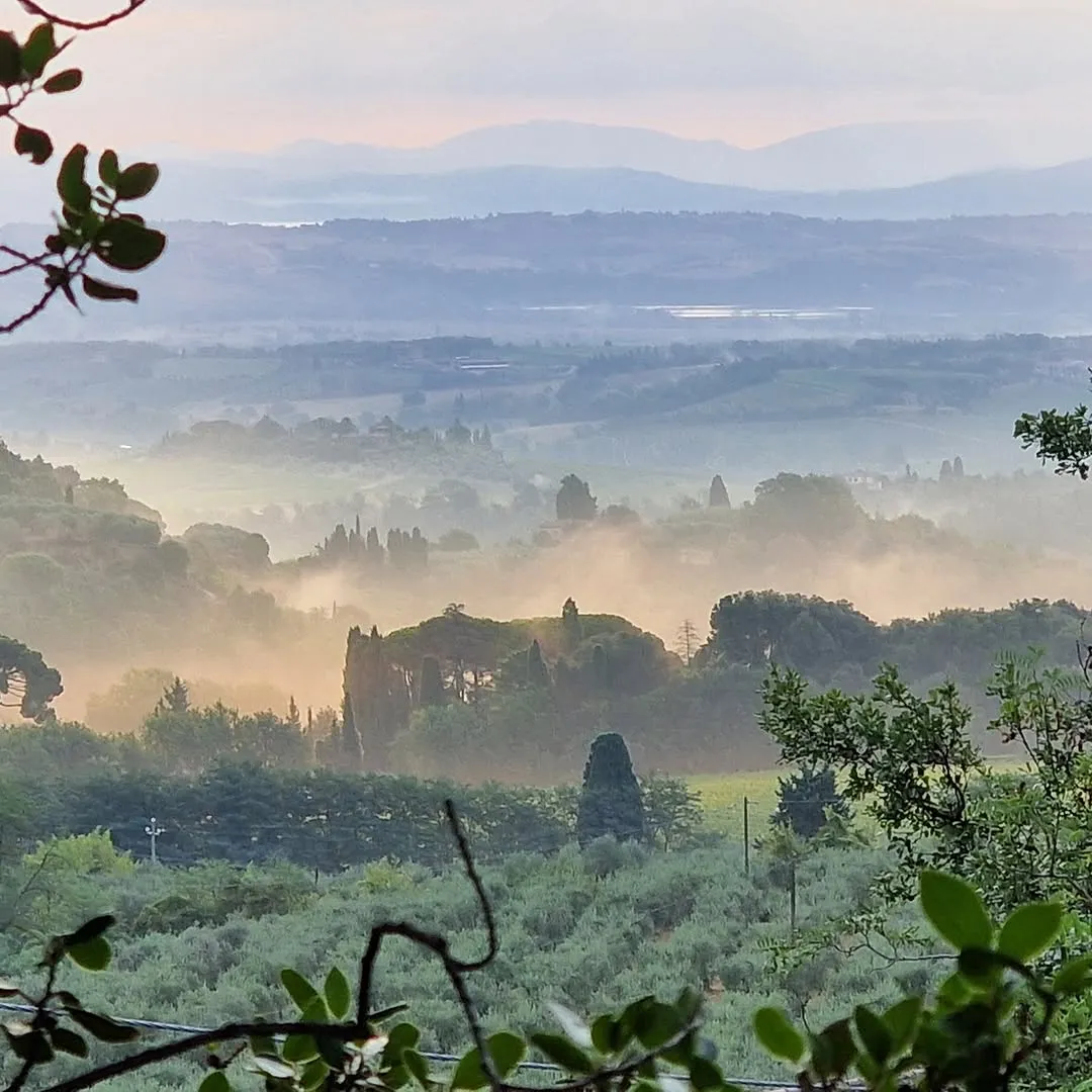 The image presents a serene and atmospheric landscape, likely captured during sunrise or sunset, featuring a misty valley, rolling hills, and distant mountains. The composition effectively uses foreground elements (out-of-focus leaves) to frame the scene and create depth. The lighting is soft and natural, beautifully illuminating the mist and overall vista. Colors appear accurate and realistic, contributing to the photo's high degree of photo-realism.