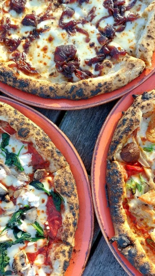 The image features three artisan pizzas presented from a top-down perspective on what appears to be a rustic wooden table. The pizzas have well-baked crusts with charring, and visible toppings include caramelized onions on one, and a mix of cheese, spinach, and mushrooms on another. The composition highlights the textures and colors of the pizzas. The third pizza's toppings are partially visible, showing cheese and possibly another type of mushroom or topping. The focus is sharp across the visible elements of the pizzas.