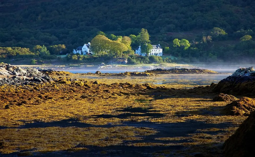 An atmospheric landscape image featuring a body of water with mossy foreground, misty mid-ground, distant white houses, and a forested hill under golden hour light.