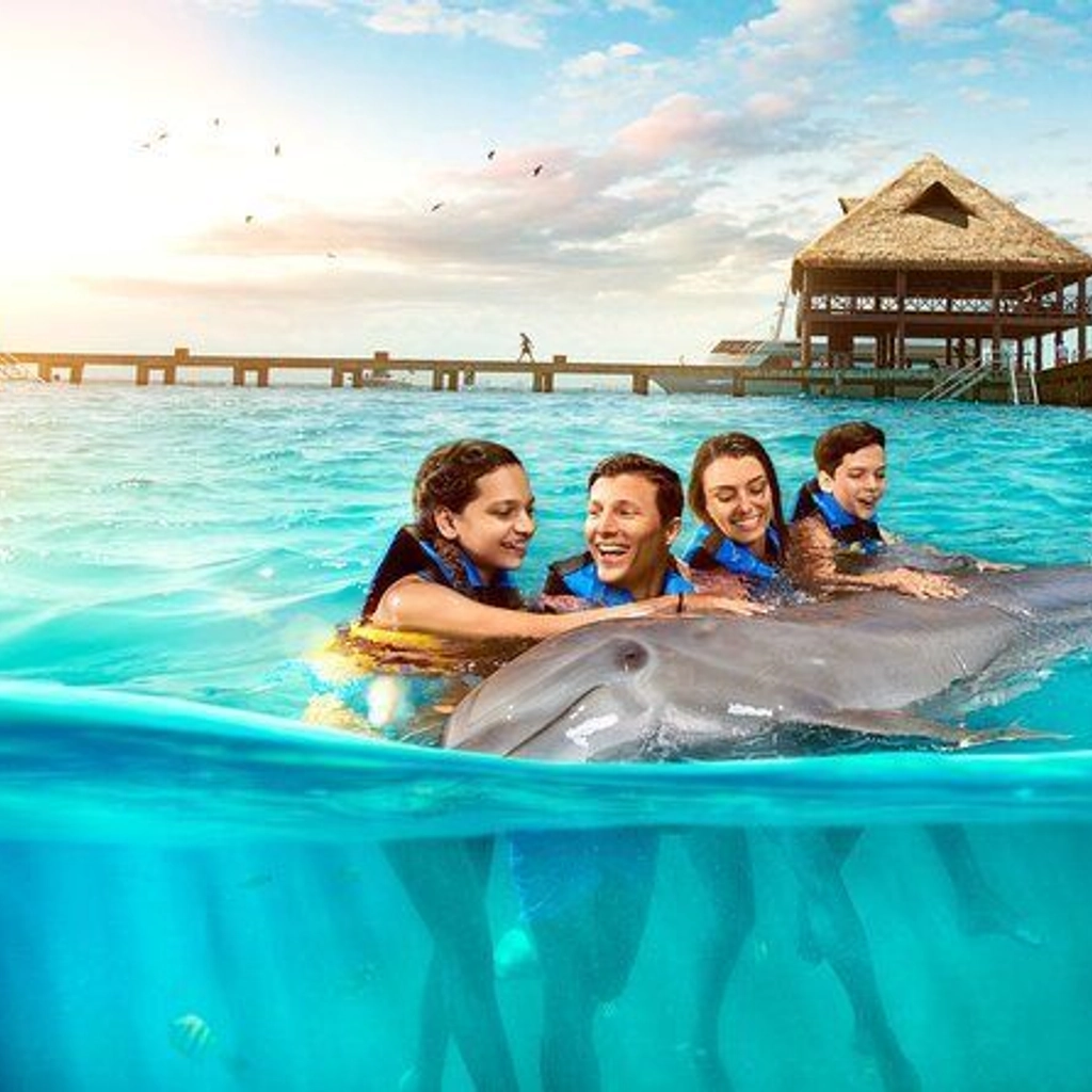 Dolphin Discovery Isla Mujeres - 3