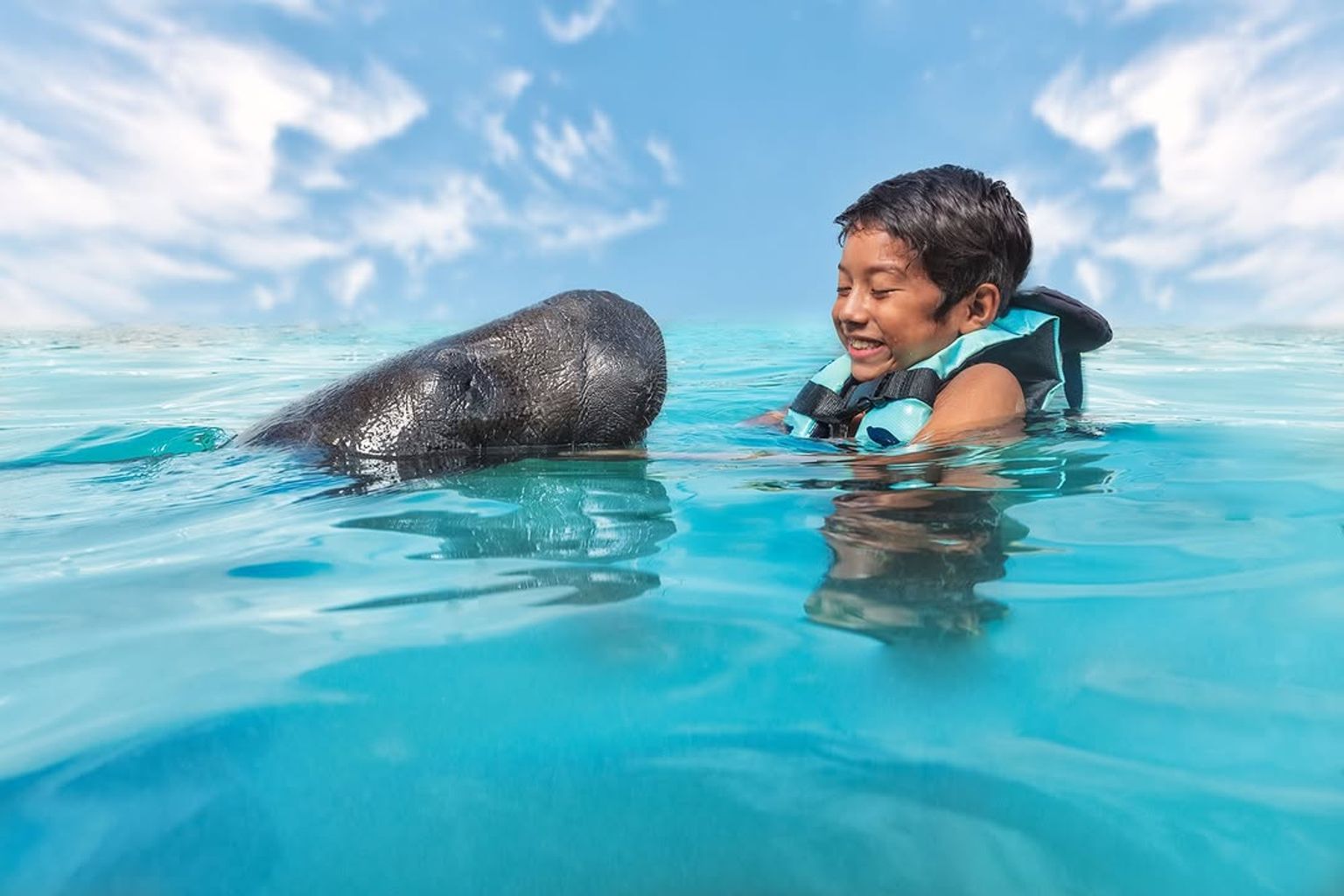 Dolphin Discovery Isla Mujeres - 8