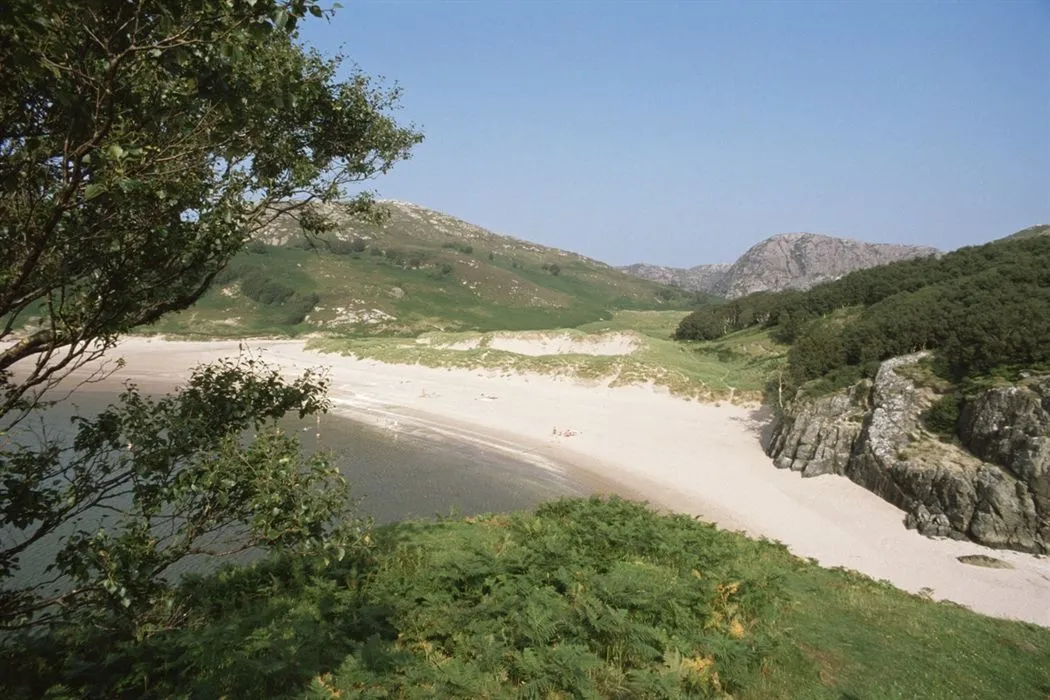 An editorial quality image showcasing a serene coastal landscape with a wide sandy beach, calm water, and rolling hills covered in green vegetation under a clear blue sky. Foreground foliage and a tree branch provide natural framing.