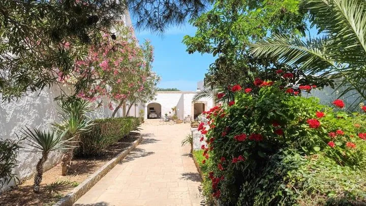 An inviting outdoor scene featuring a stone path leading towards white Mediterranean-style buildings, flanked by vibrant green foliage and colorful flowers. The bright blue sky provides a clear backdrop, and natural light illuminates the scene.