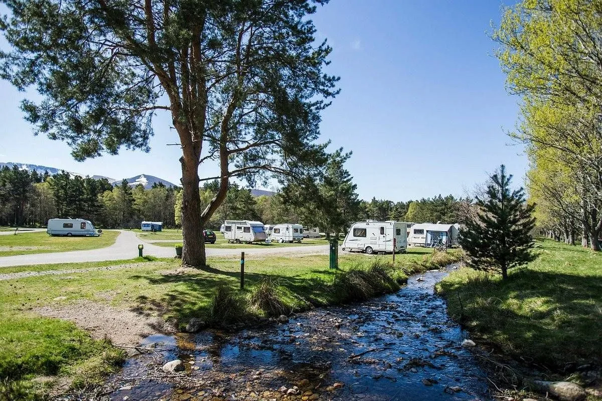 An outdoor scene featuring a caravan park with a clear stream in the foreground, lush green grass, and tall trees under a bright blue sky. Several white caravans are visible in the mid-ground, and distant mountains can be seen.